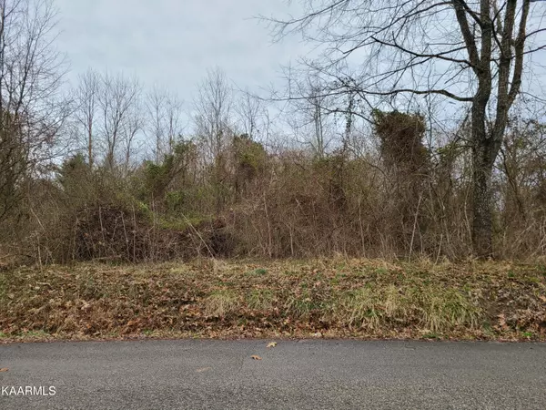 Jamestown, TN 38556,Lot 8 Hamilton Field Rd