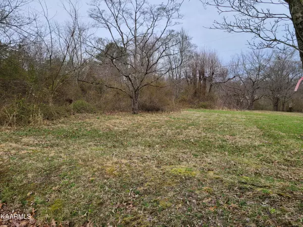 Jamestown, TN 38556,Lot 8 Hamilton Field Rd