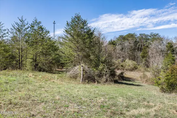 Kodak, TN 37764,Lot 4R1 Piney Rd