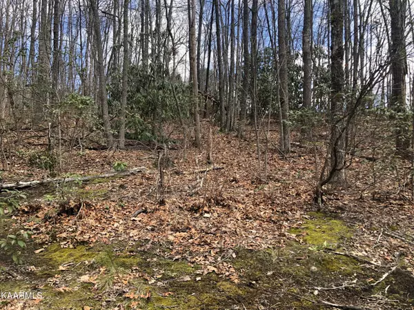 Sevierville, TN 37876,Lot 5 Swann Saddle