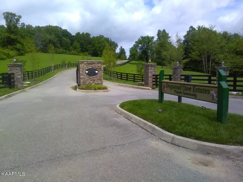 Lot 19, Dogwood Cove DR, Spring City, TN 37381