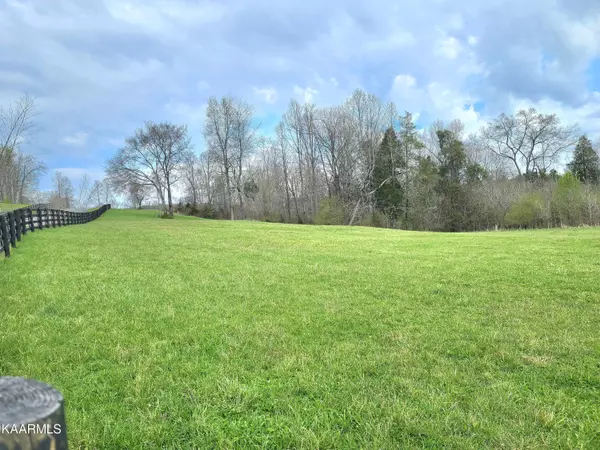 Spring City, TN 37381,Lot 20, Dogwood Cove DR