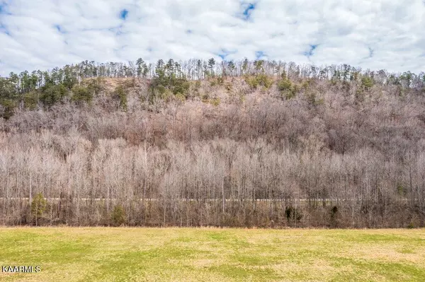 Del Rio, TN 37727,Lot 150 River Rapids WAY