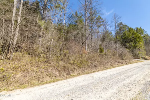 Sevierville, TN 37876,1939 Creek Hollow WAY