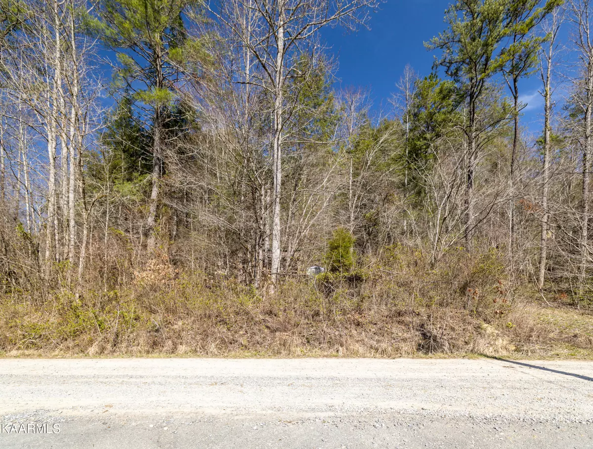 Sevierville, TN 37876,1939 Creek Hollow WAY