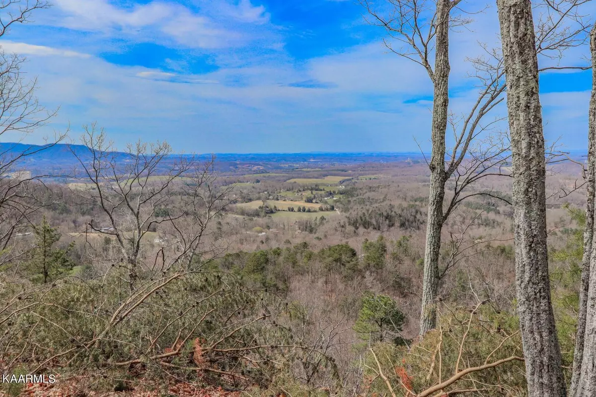 Newport, TN 37821,Lot 15 Critter Mtn WAY