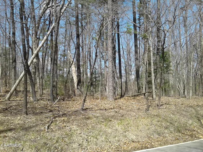LOT 8 FLATS Rd, Tallassee, TN 37878