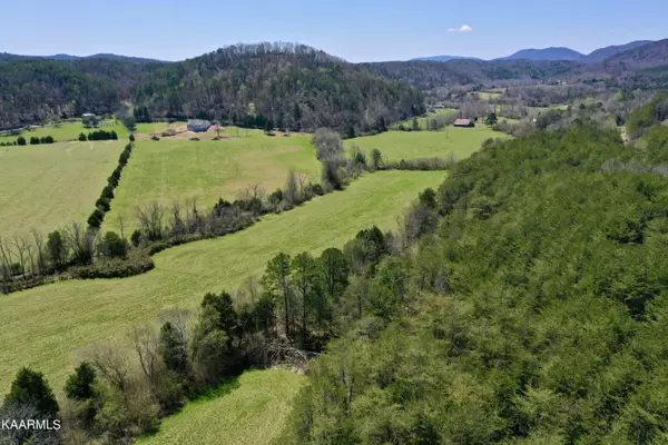 Tellico Plains, TN 37385,Dry Creek Rd