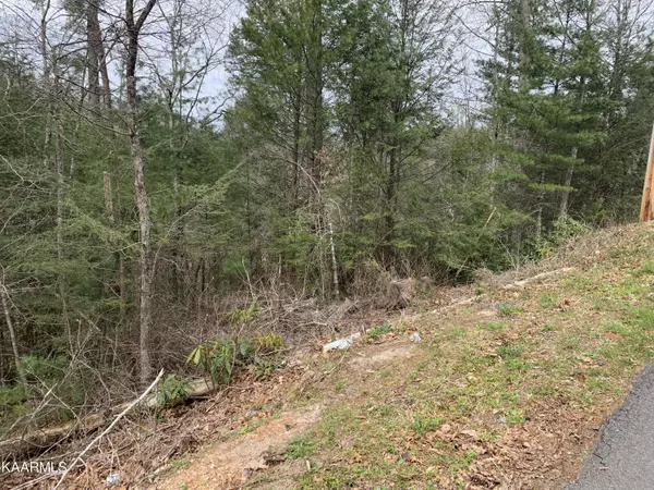 Sevierville, TN 37863,Lot 0251 Ski View LN