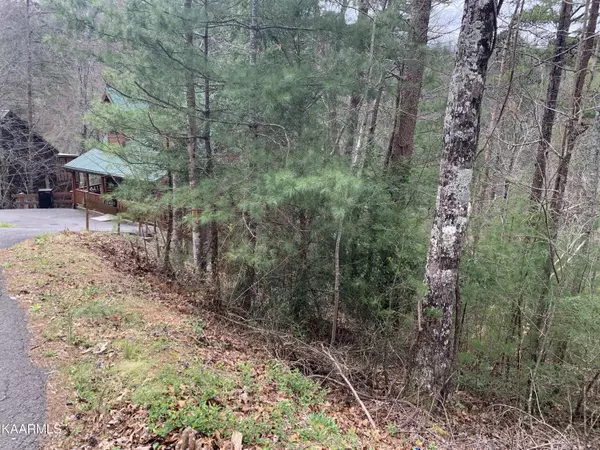 Sevierville, TN 37863,Lot 0251 Ski View LN