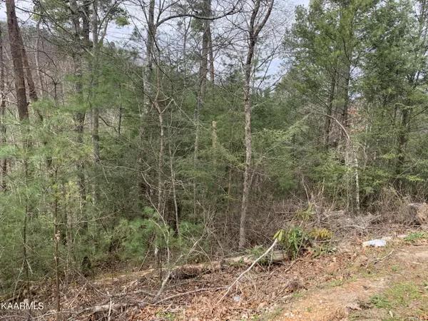 Sevierville, TN 37863,Lot 0251 Ski View LN