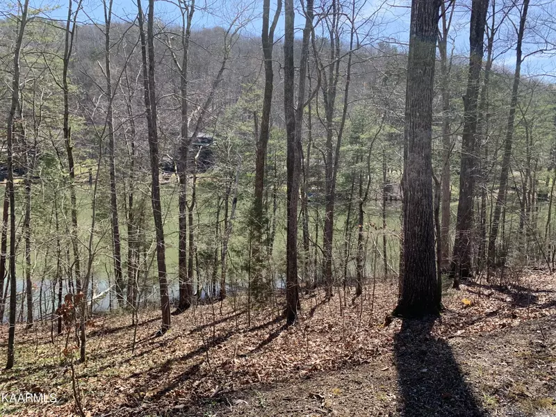 Lot 39 Peninsula Rd, Madisonville, TN 37354