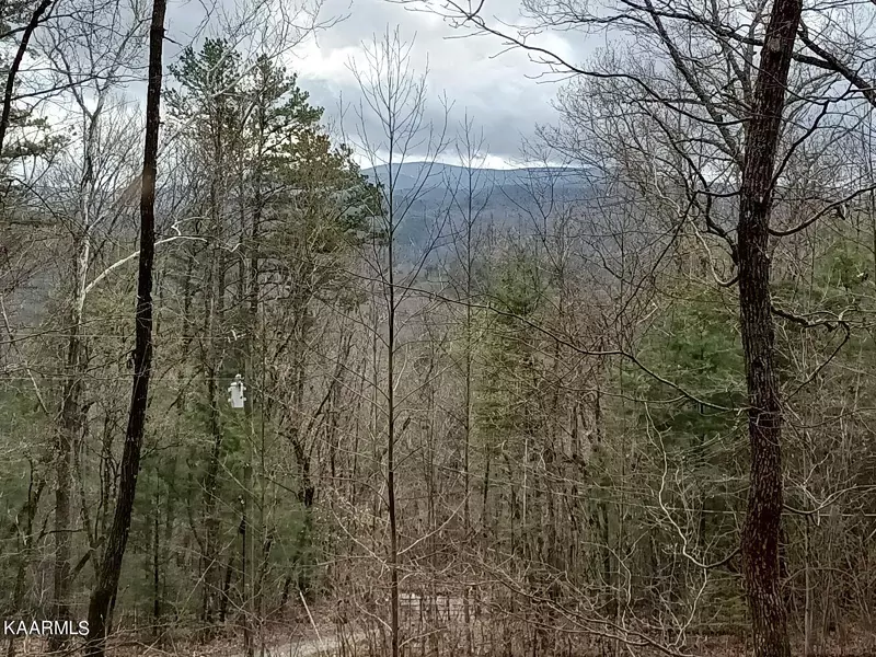 6244 Happy Valley LOOP, Tallassee, TN 37878