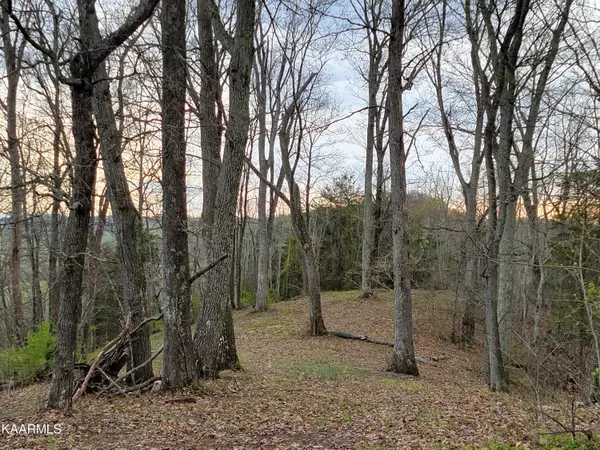 Talbott, TN 37877,Lot 58 Scenic View Dr