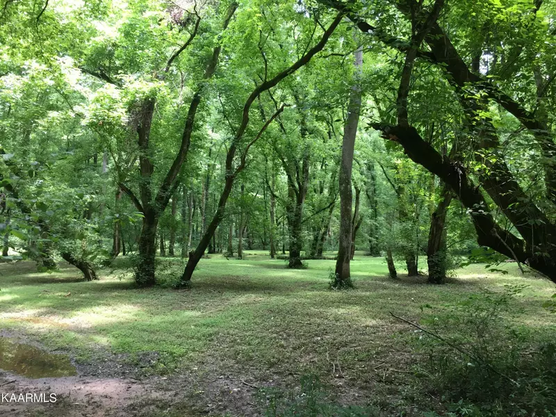 Henson LN, Helenwood, TN 37755