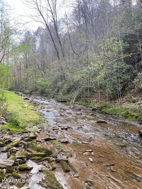 Reliance, TN 37369,7.68 acres Ellis Creek Road