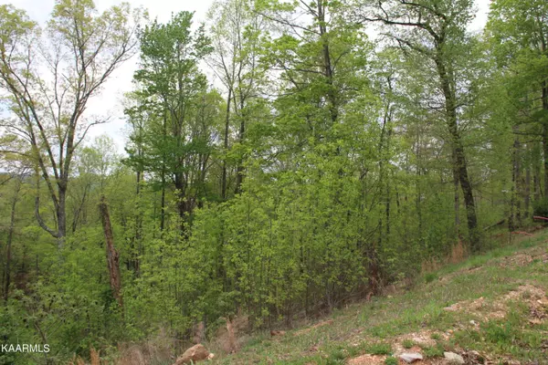 Lafollette, TN 37766,Lot 559 Summer CIR