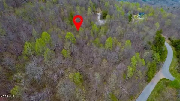 Lot 185 Settlers Point Rd, New Tazewell, TN 37825