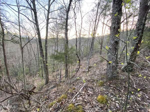 Lot 46 Beechwood St, Sevierville, TN 37876