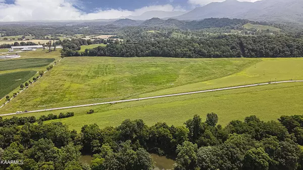 20 acres Old Walland Hwy, Walland, TN 37886