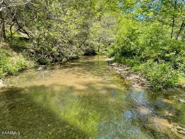 1.6 ac Turkey Creek Rd, Tellico Plains, TN 37385