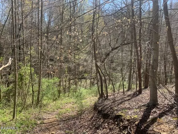 Helenwood, TN 37755,Simpson Rd