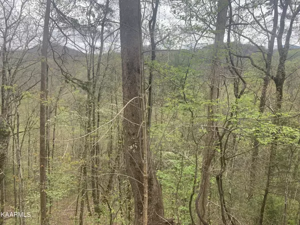 Sevierville, TN 37862,Lot 3 Sunset Rd