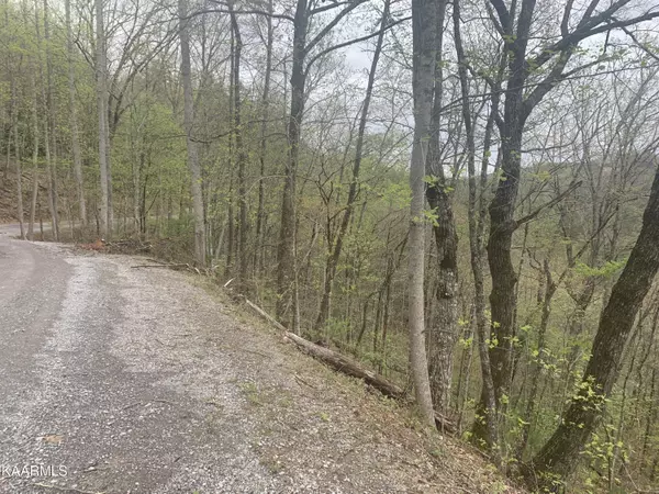 Sevierville, TN 37862,Lot 3 Sunset Rd