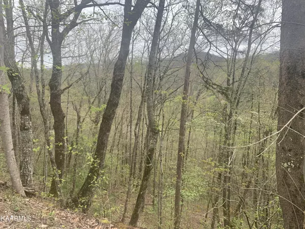 Sevierville, TN 37862,Lot 3 Sunset Rd