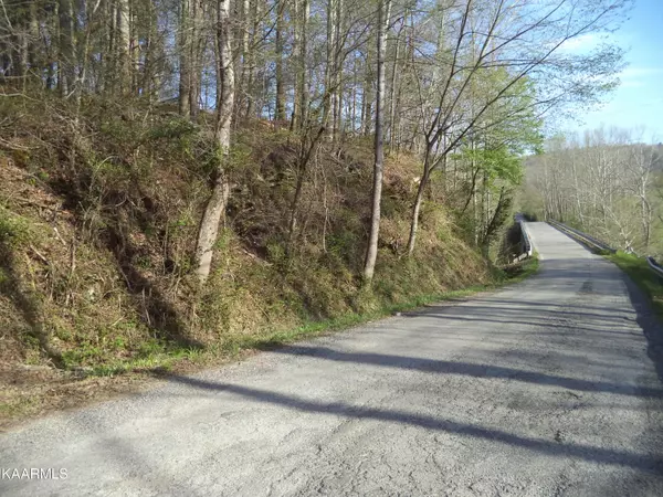 tr 5-10 Low Gap Rd., Helenwood, TN 37755