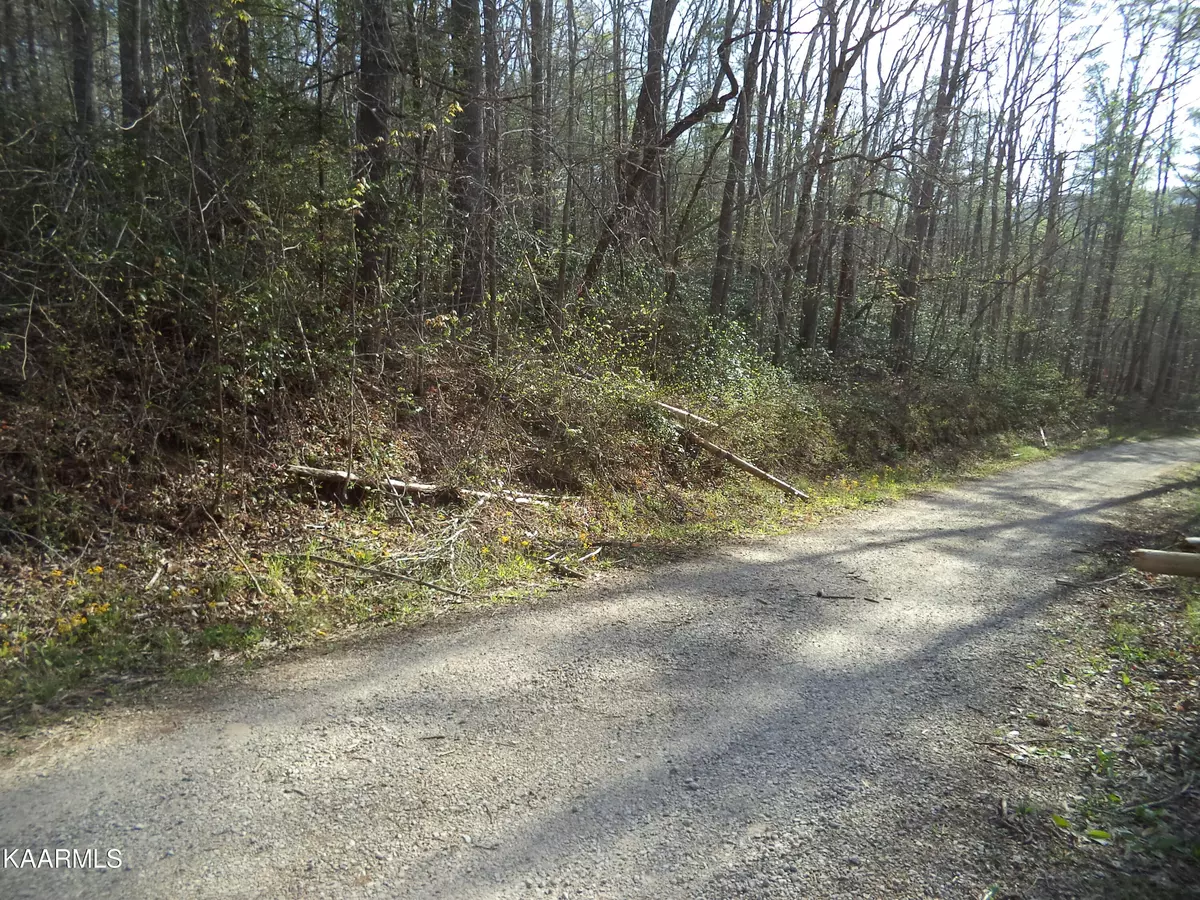 Helenwood, TN 37755,Trct 2 Low Gap Rd