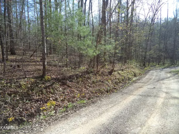 Helenwood, TN 37755,Trct 4 Low Gap Rd