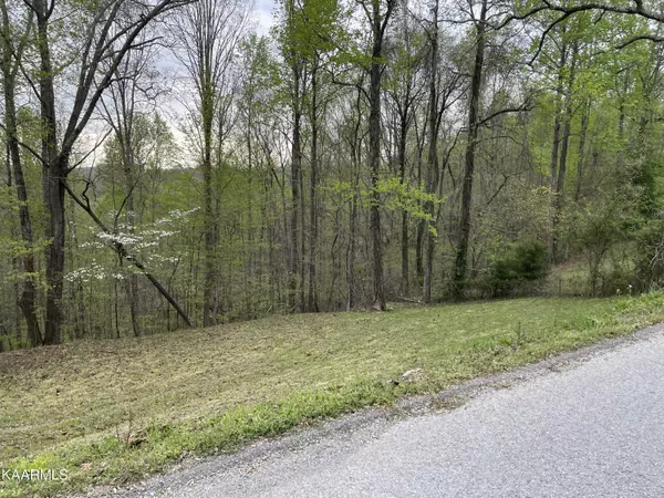 Landmark Rd, Jacksboro, TN 37757