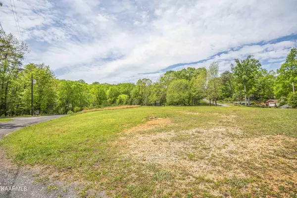 Spring City, TN 37381,Lot 238 Hickory DR