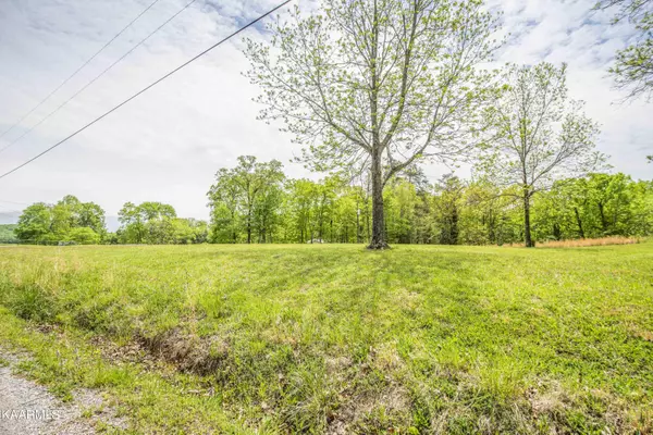 Spring City, TN 37381,Lot 238 Hickory DR
