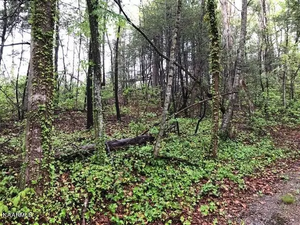 Lot 16R Red Bud, Gatlinburg, TN 37738