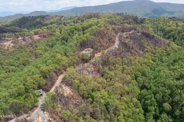 Sevierville, TN 37862,3316 Sugar Maple Loop Rd