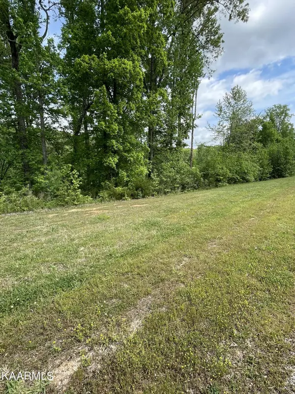 Rockwood, TN 37854,Lot 467 W Shore DR