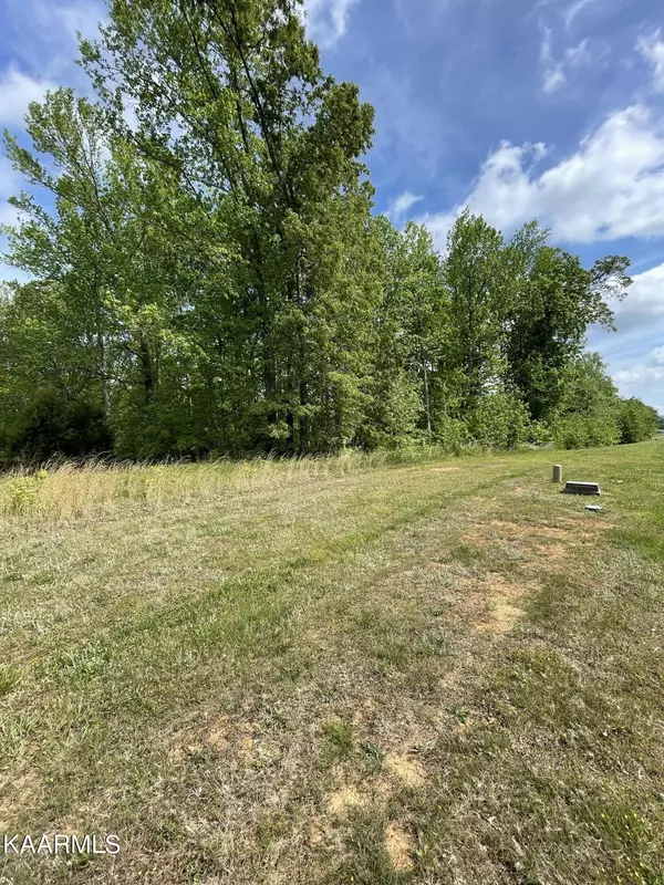 Rockwood, TN 37854,Lot 467 W Shore DR