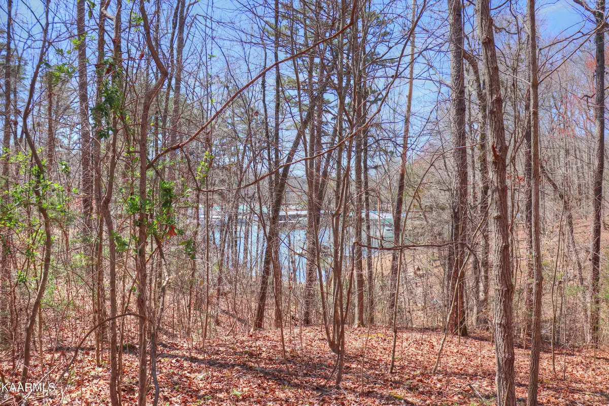 Speedwell, TN 37870,Lot 157 Bridle WAY