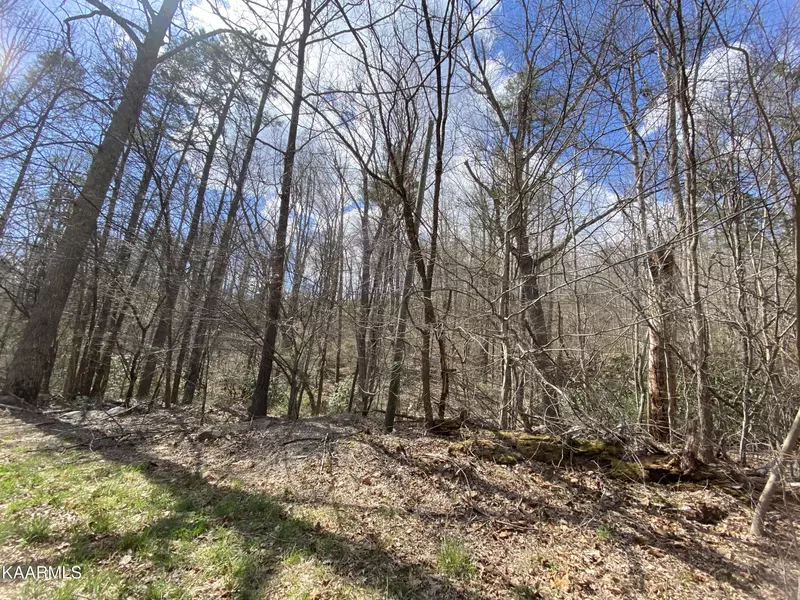 Lot 21 Alpine DR, Sevierville, TN 37876