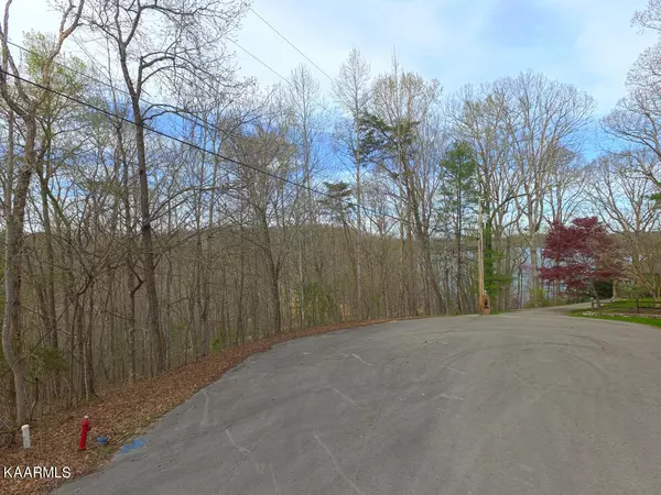 Rockwood, TN 37854,Lot 68/69 Pin Oak DR