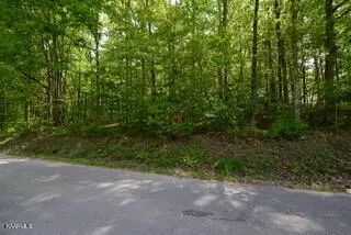 335 Branham Hollow Rd, Ten Mile, TN 37880