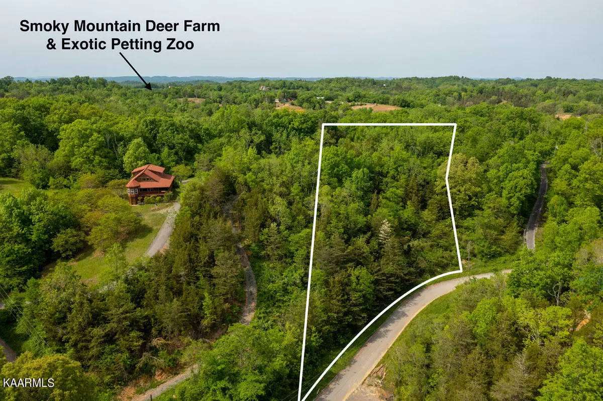 Sevierville, TN 37876,Lot 7 Megan Ridge Dr