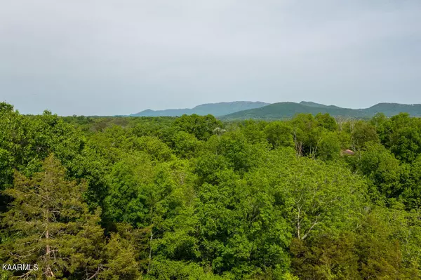 Sevierville, TN 37876,Lot 7 Megan Ridge Dr