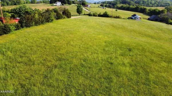 Rutledge, TN 37861,Lot 7 Twin View LN