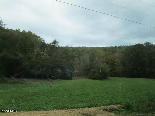 Rutledge, TN 37861,Poor Valley