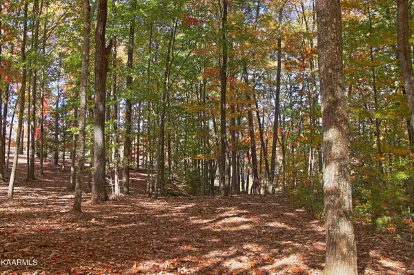 Lot 17 Emerald DR, Jamestown, TN 38556