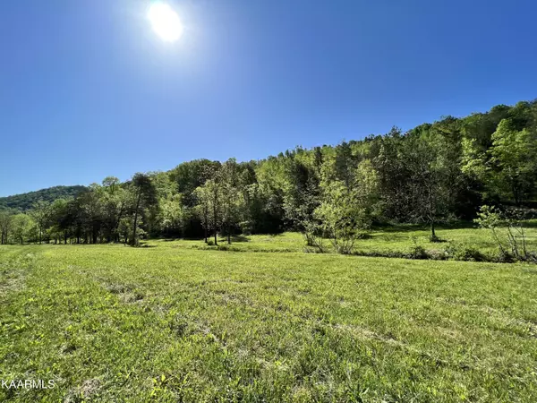 Thorn Hill, TN 37881,Dry Valley Rd