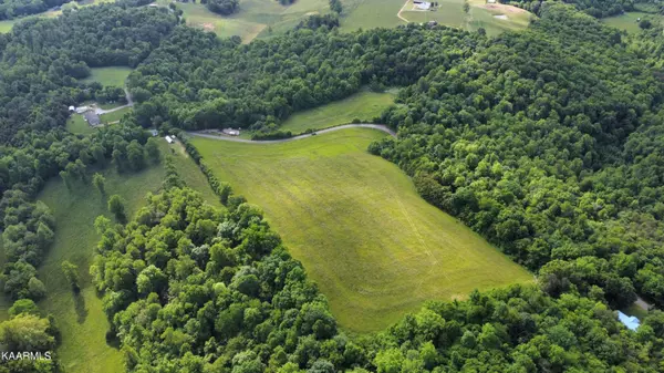 Blaine, TN 37709,22.5 Acres Smith Hollow Road